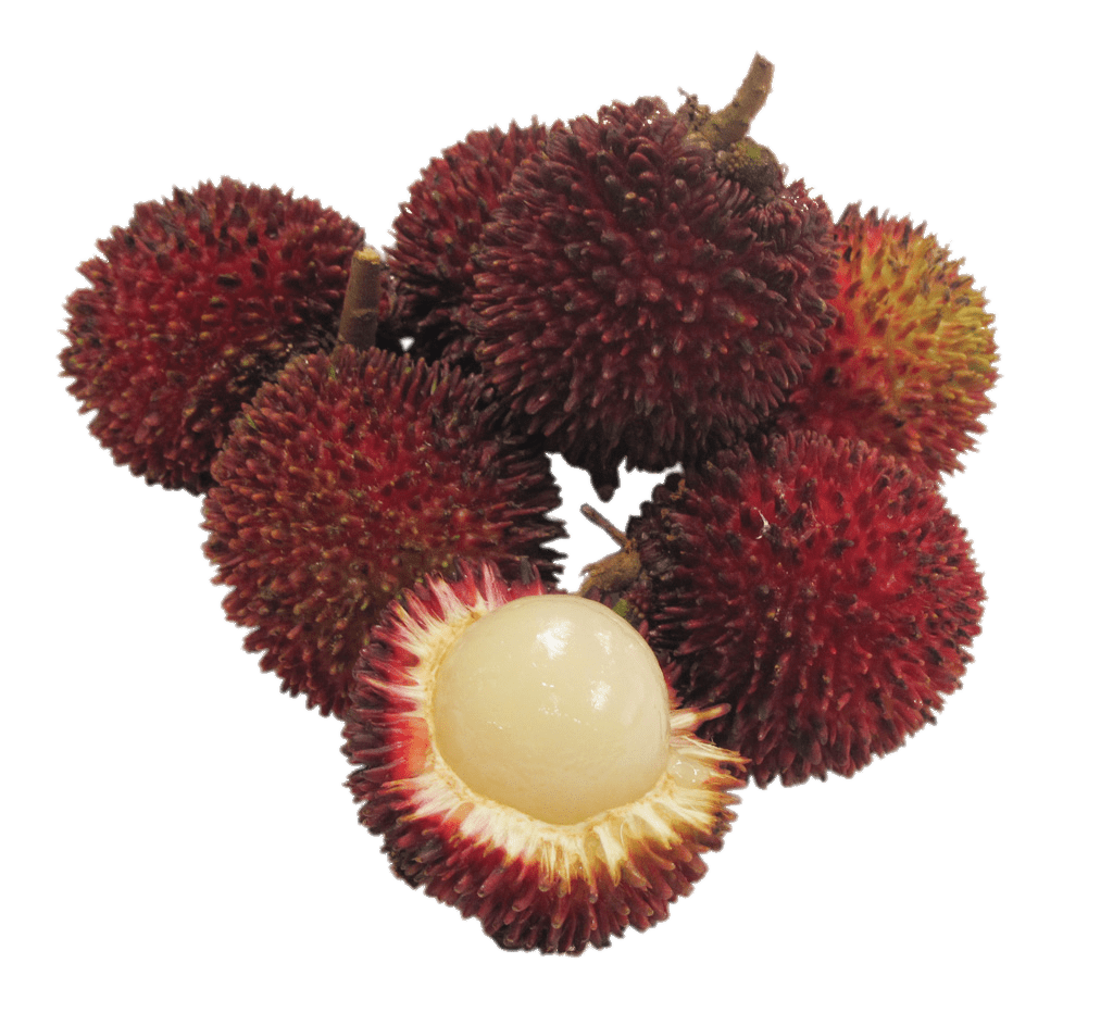 Pulasan Fruit