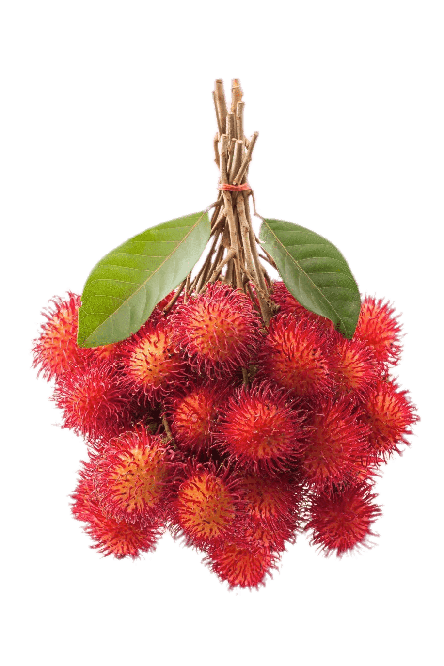 Bunch Of Rambutan