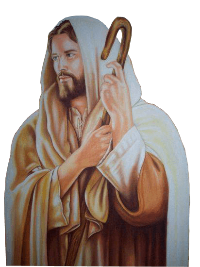 Jesus Shepherd