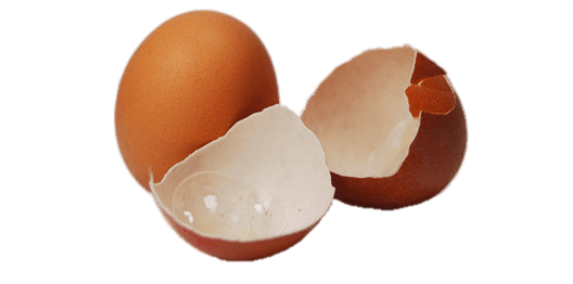 Two Eggshells