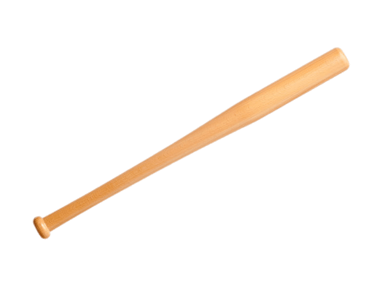 Baseball Bat