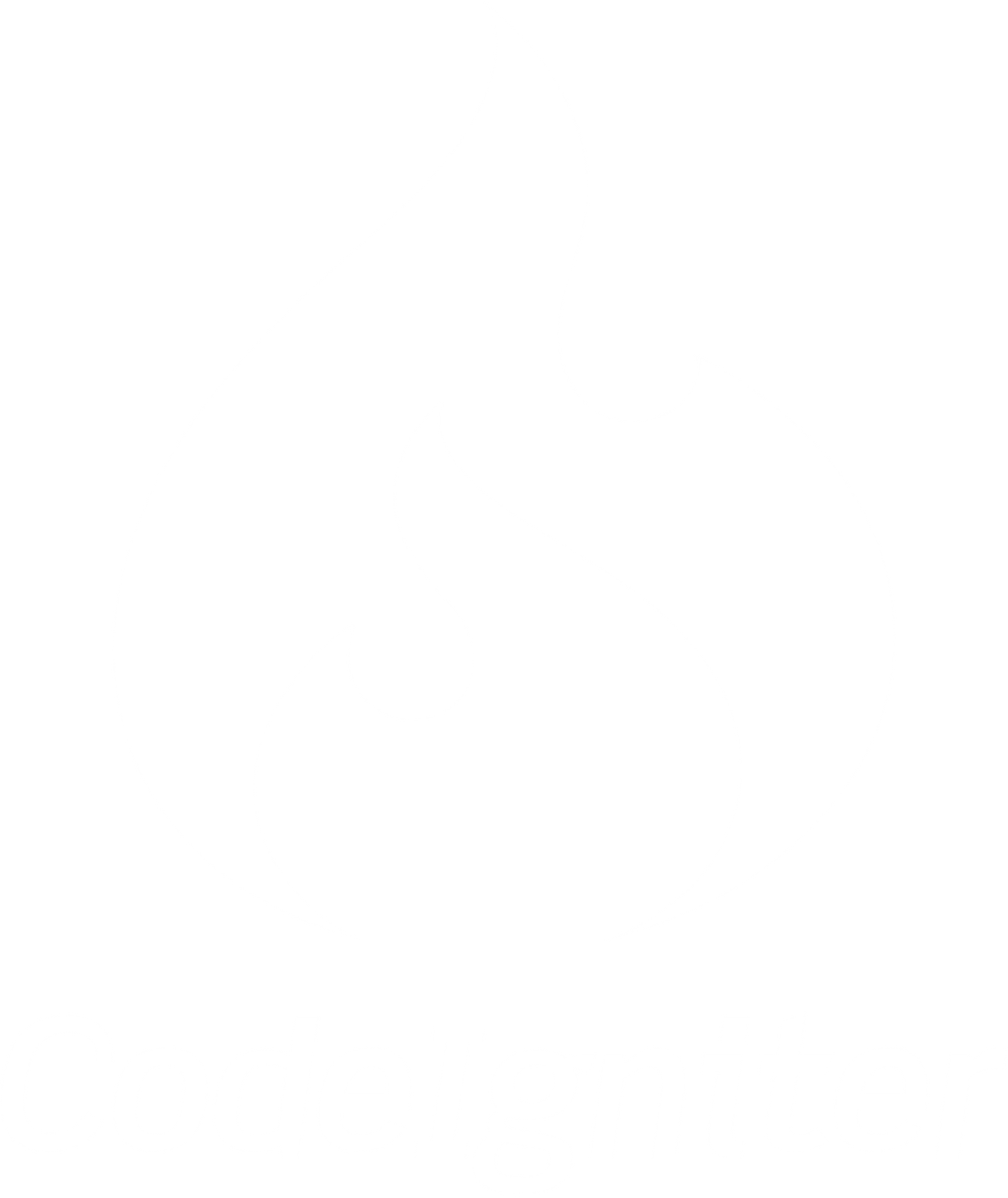CodeIgniter white 