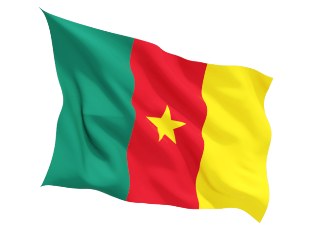 Cameroon Flag Wave