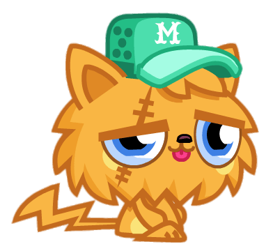 Gingersnap the Whinger Cat Sitting