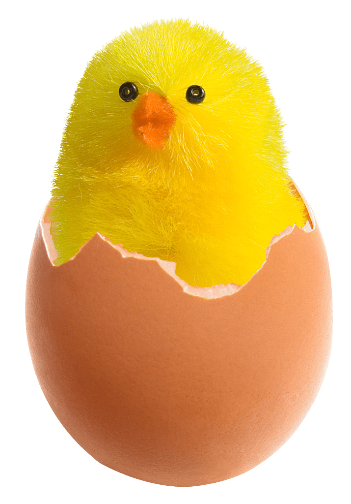 Chicken In Broken Egg