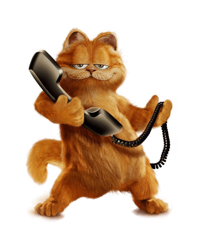 Garfield on the Phone