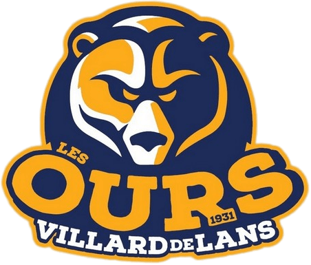 Ours De Villard De Lans 
