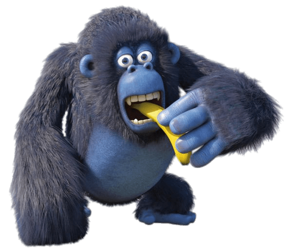 Miguel the Gorilla Eating Banana