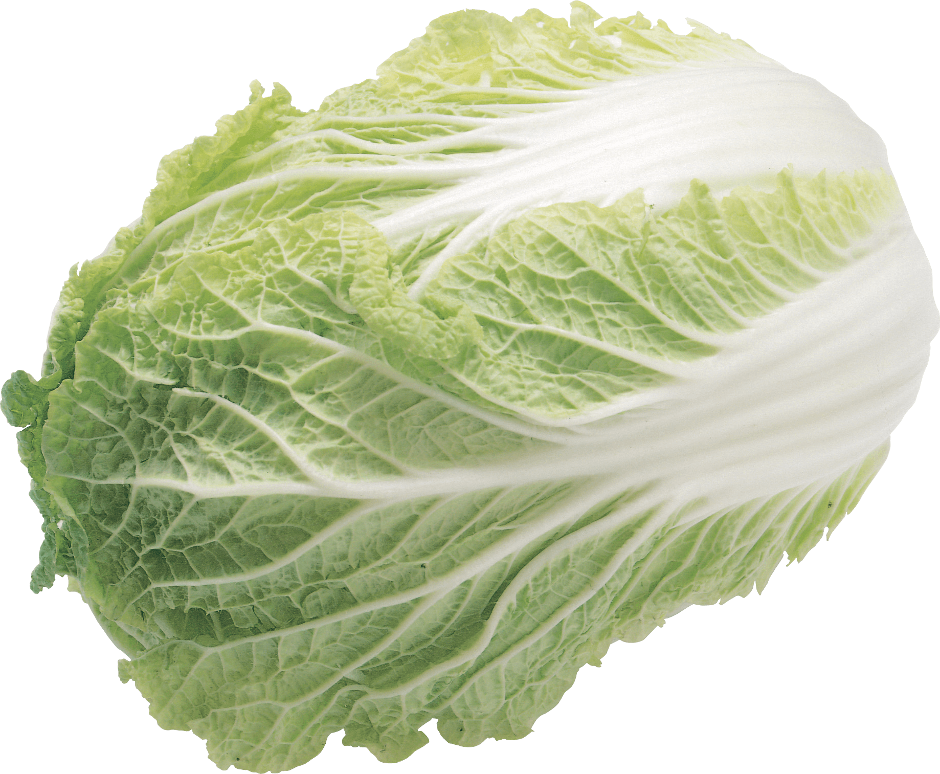 Lettuce Salad