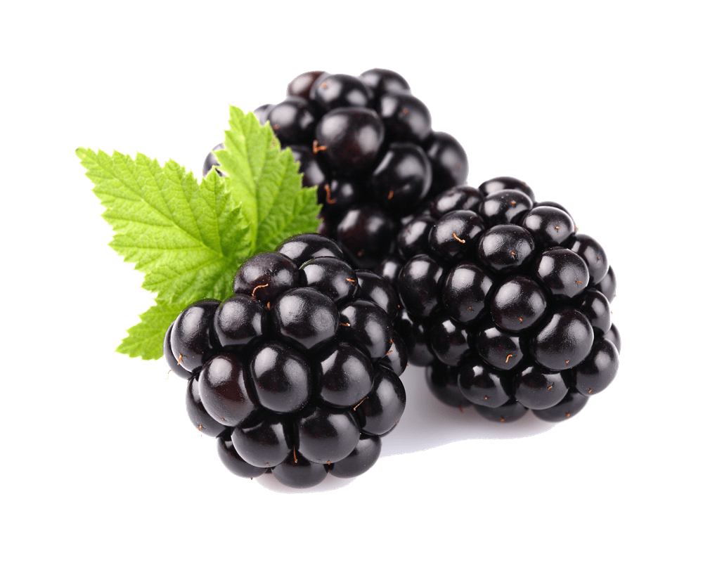 Blackberries Trio