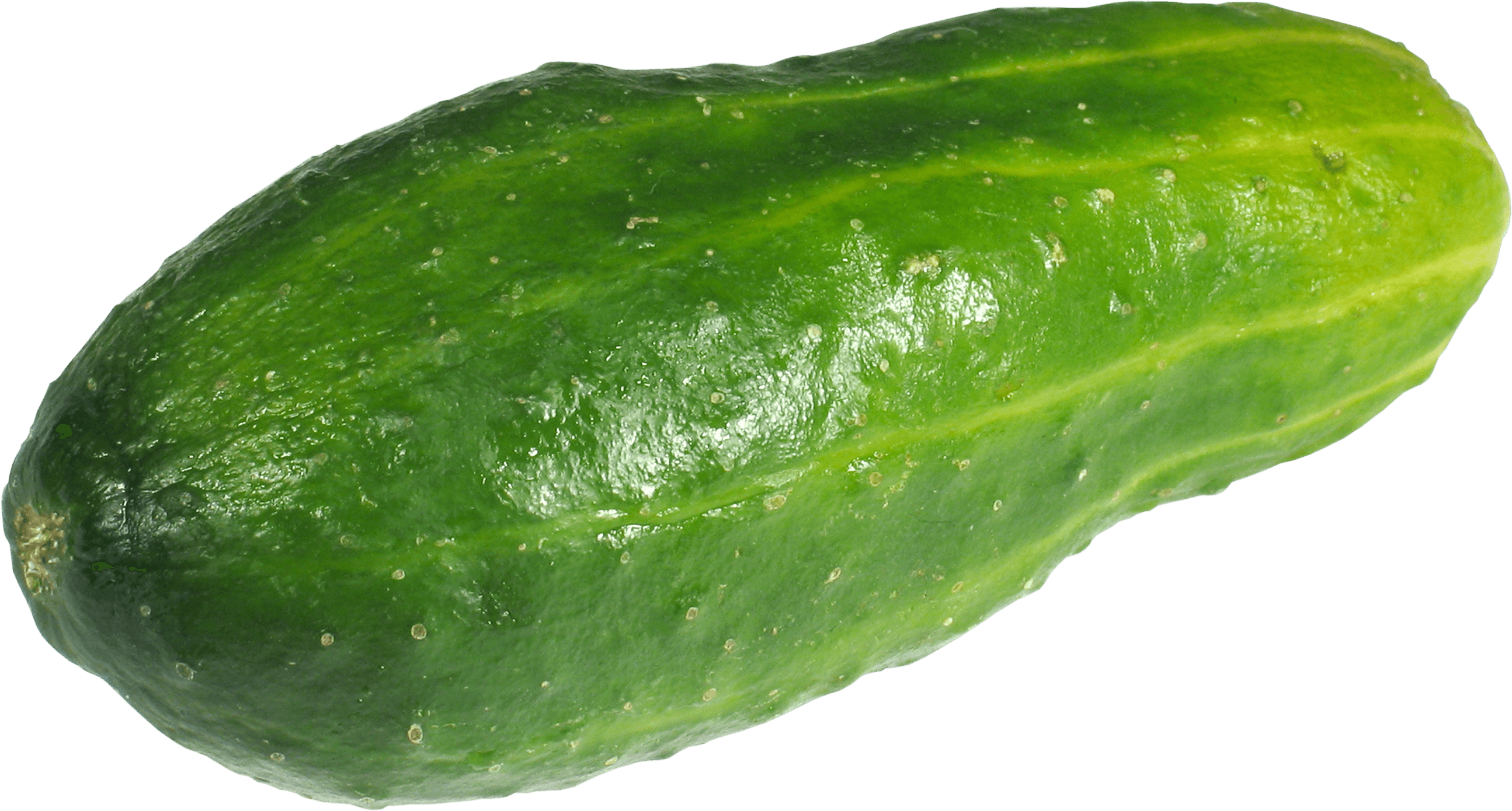 Large Green Cucumber