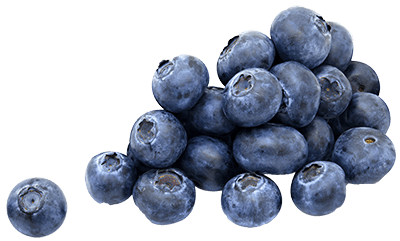 A Few Blueberries