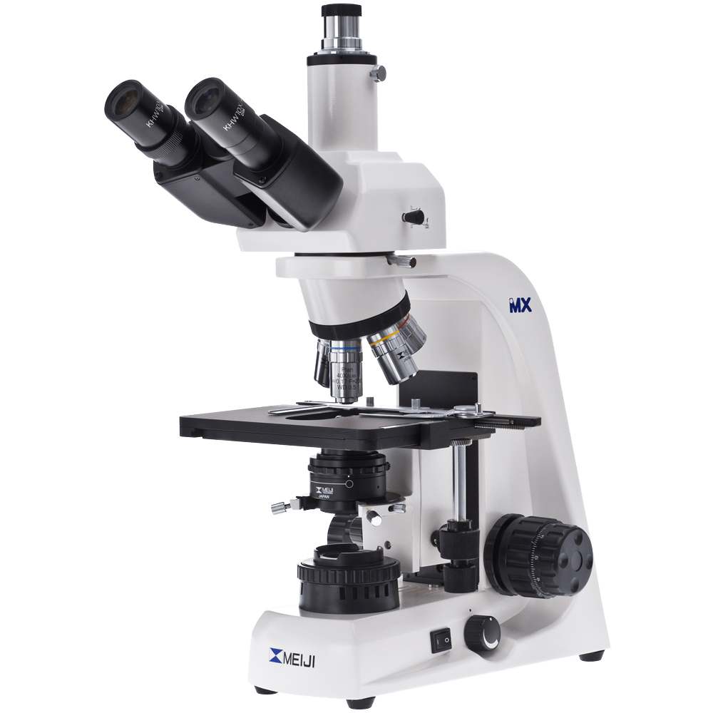 Large Binocular Microscope