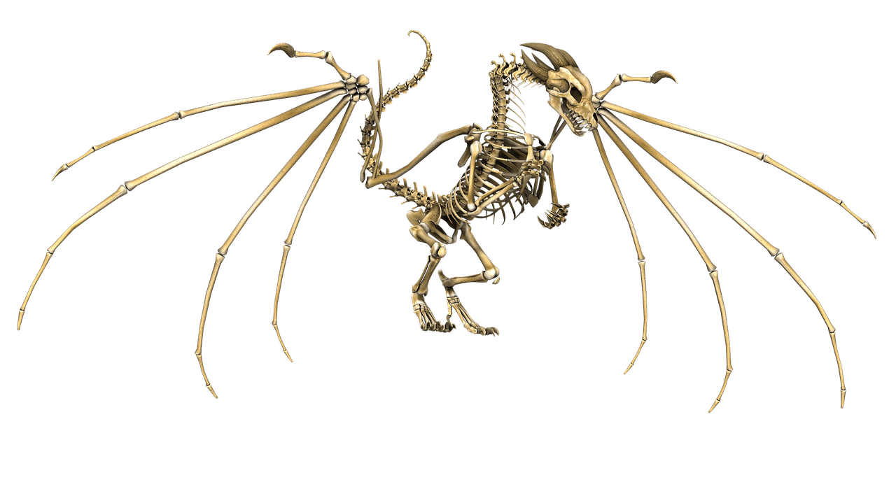 Dragon Skeleton