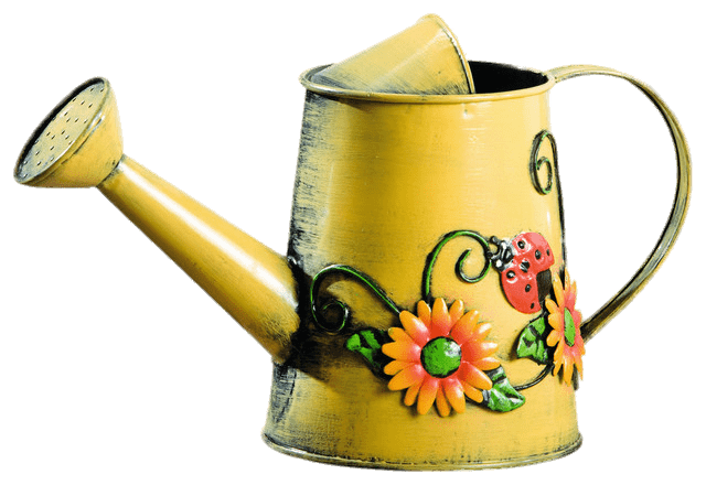 Decorated Metal Watering Can