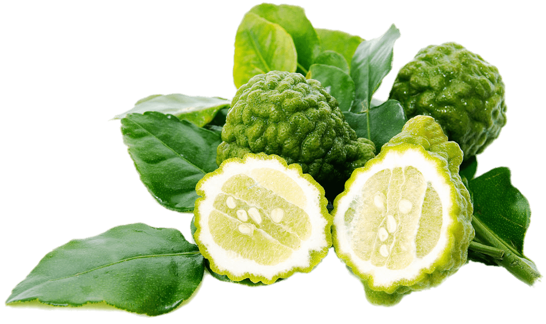 Kaffir Lime