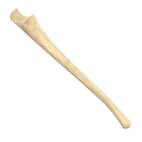 Ulna Bone