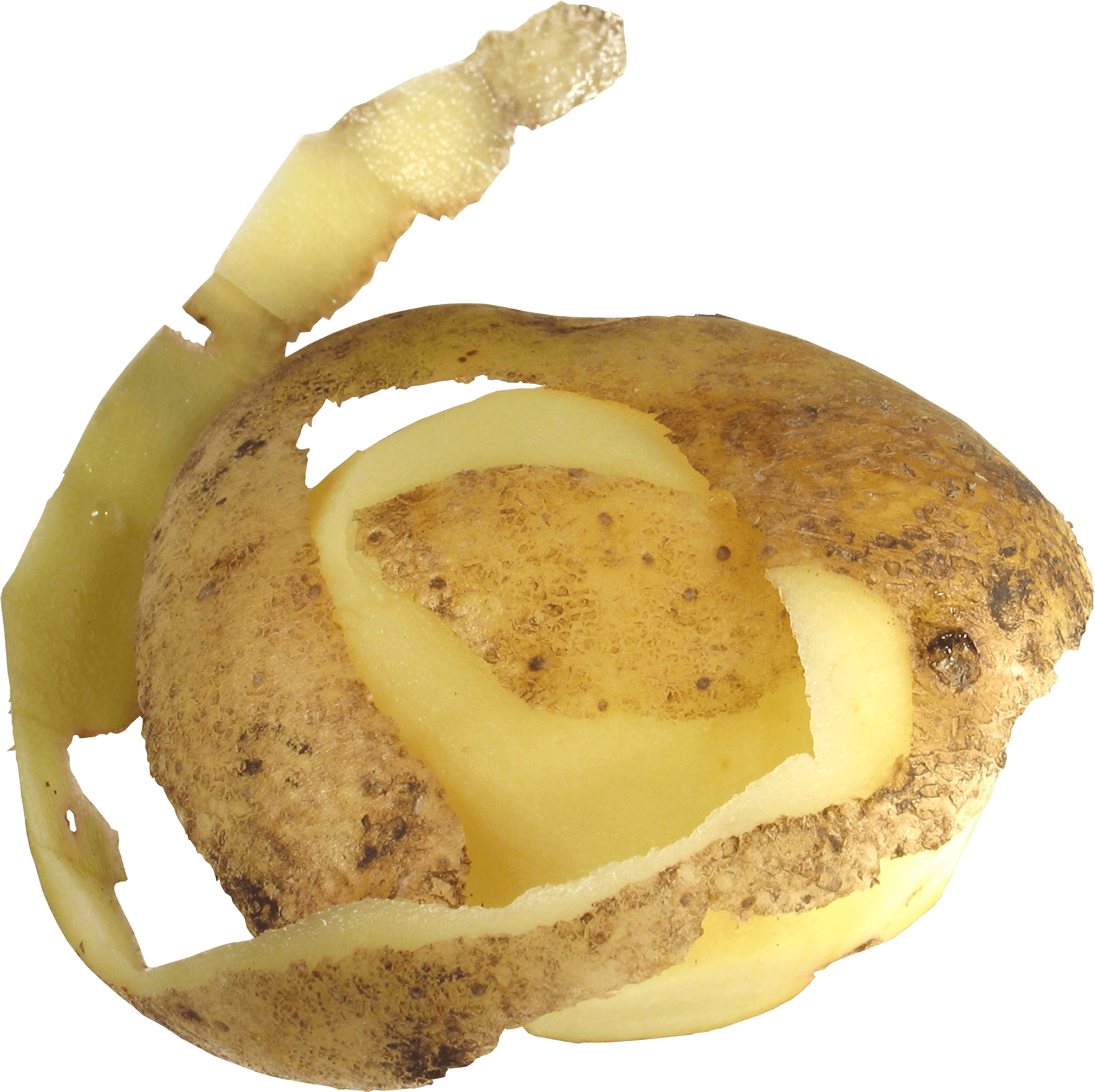 Peeled Potato
