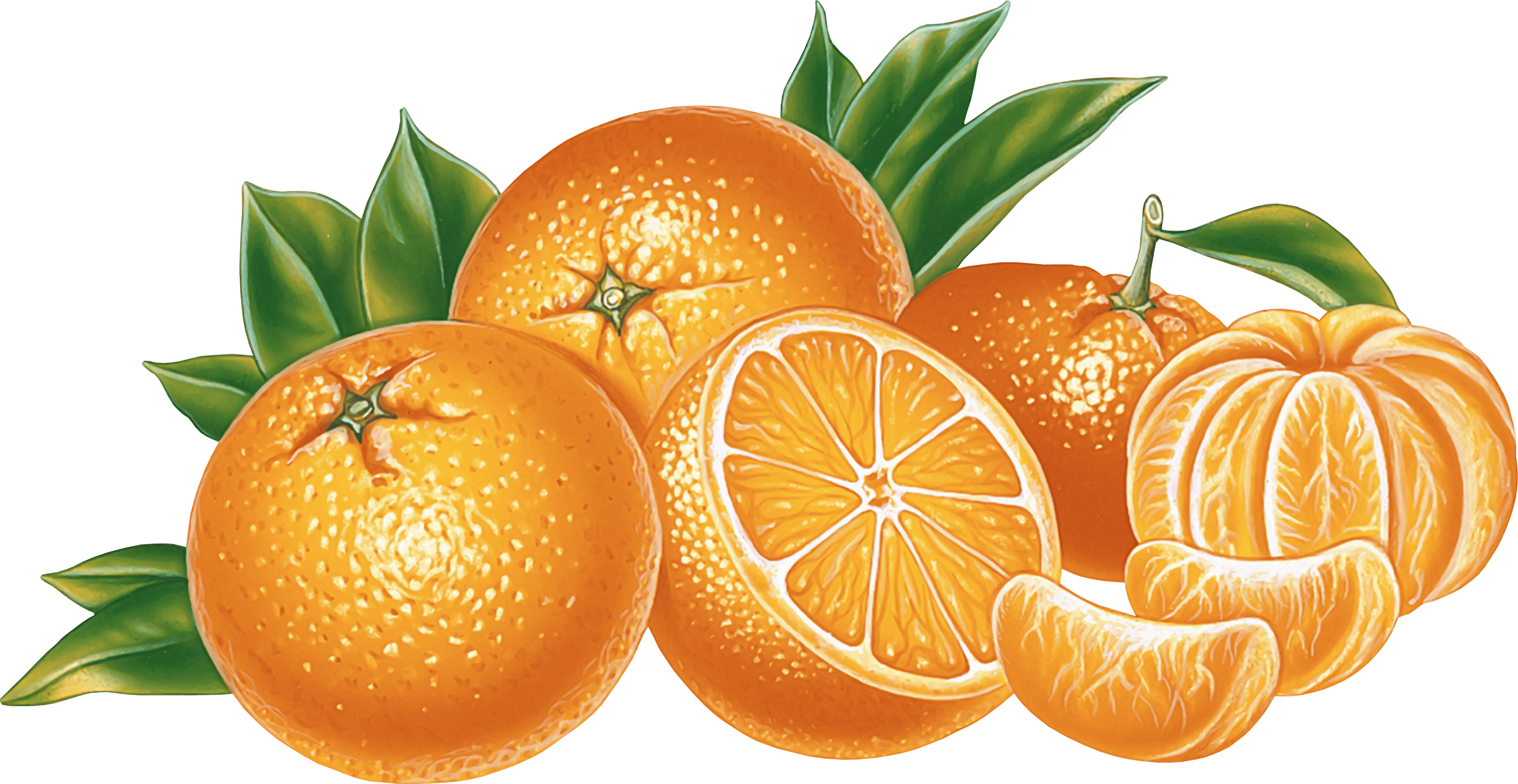 Orange Illustration