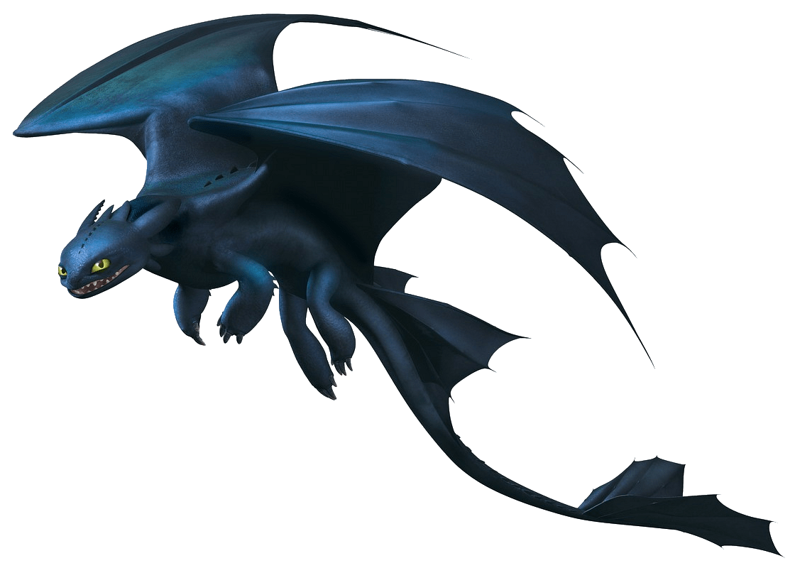 Night Fury with Long Tail