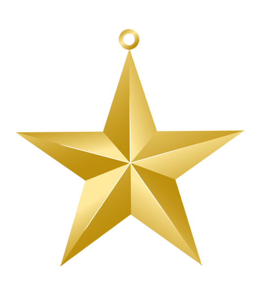Gold Star Christmas Ornament