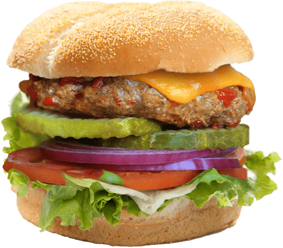 Gourmet Burger Close Up