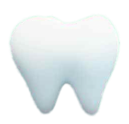 Tooth Illustration