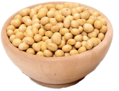 Bowl Of Dried Soybeans