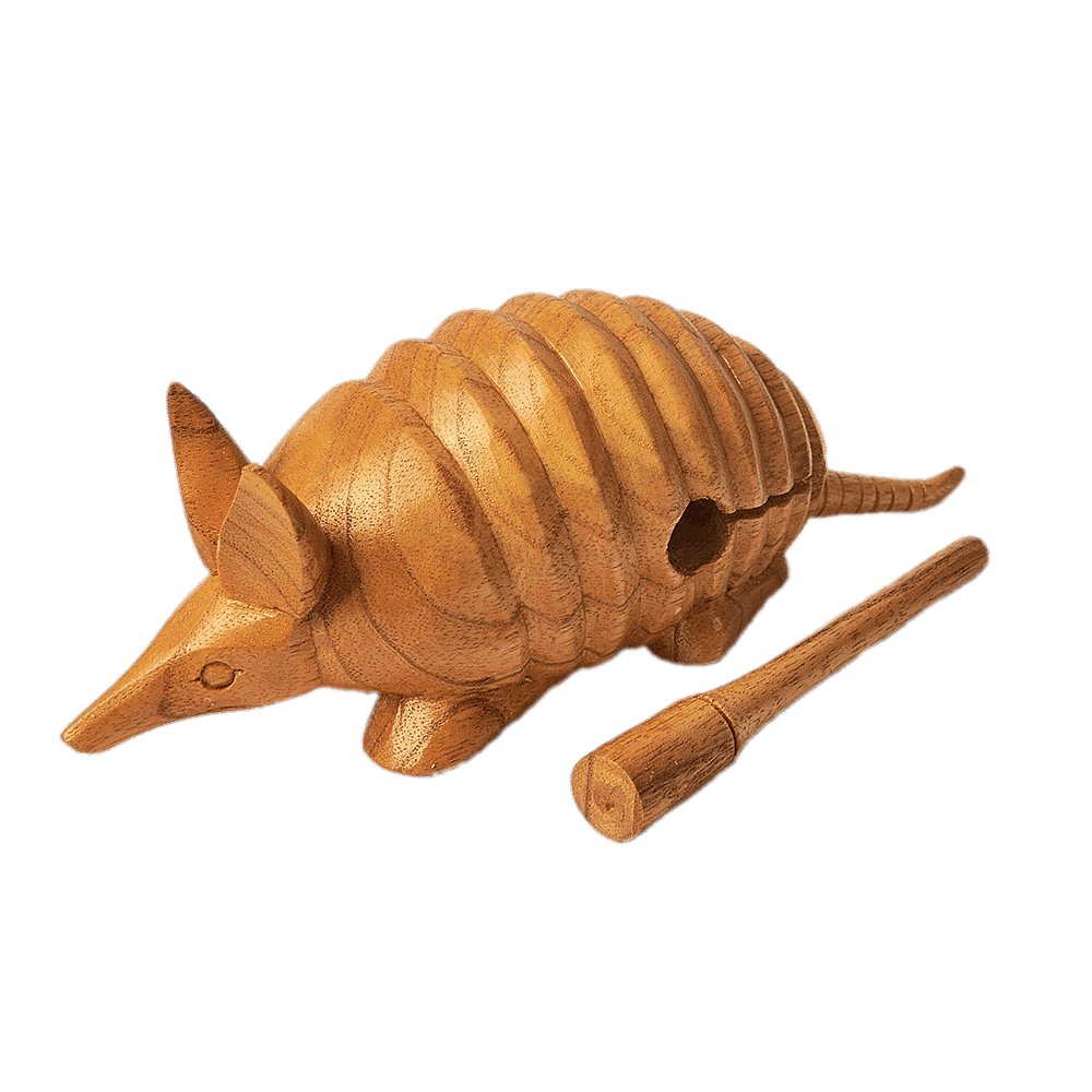 Wooden Armadillo Instrument
