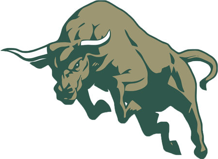 Bull Illustration