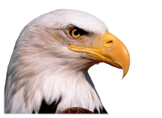 Eagle Head
