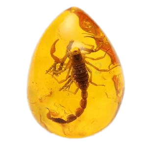 Amber With Trapped Scorpion