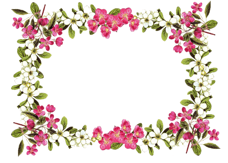 Flowers Frame Rose