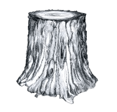 Tree Trunk Black and White