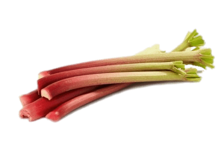 Bundle Of Rhubarb