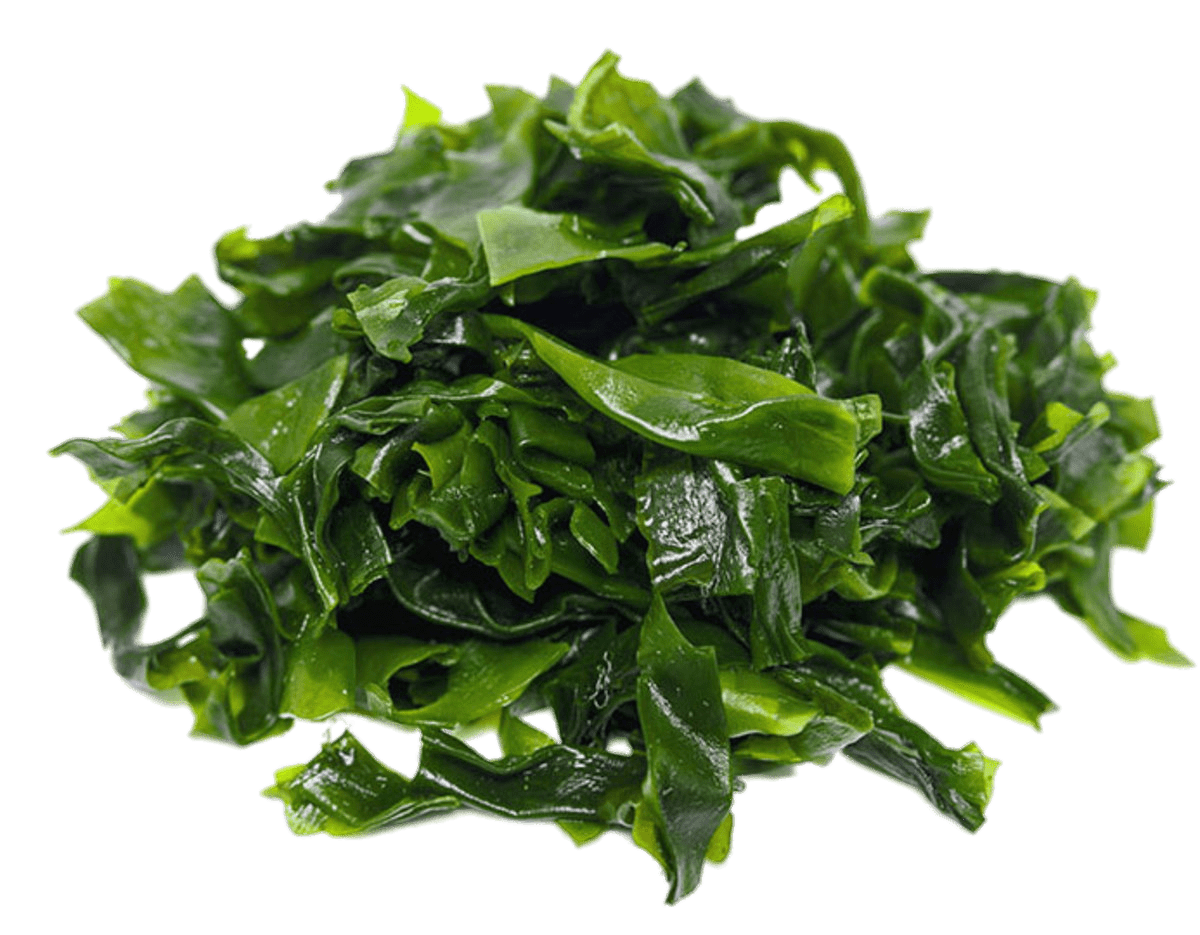 Pile Of Dark Green Seaweed