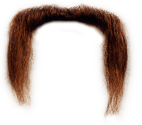 Long Ginger Moustache