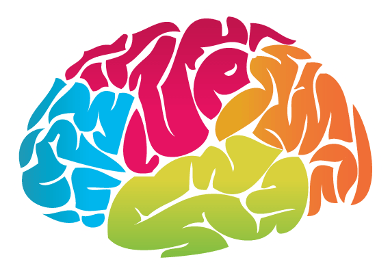 Brain Colour Drawing
