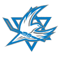 Israel National Ice Hockey Team 