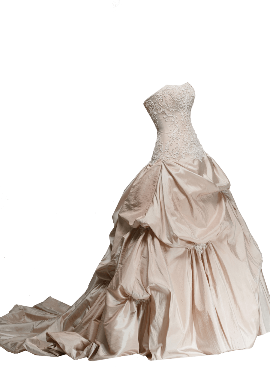 Dress Wedding Sideview
