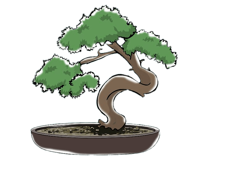 Bonsai Clipart