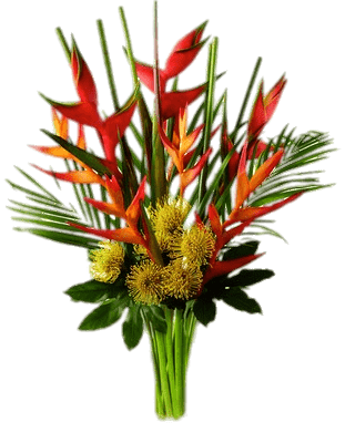 Heliconia Composition