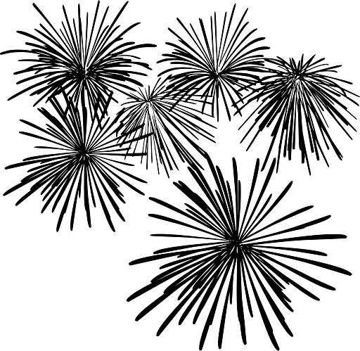 Fireworks for a Happy New Year