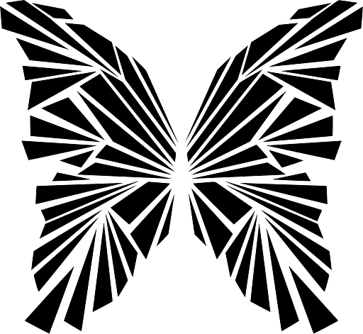 Butterfly Triangular Wing Design