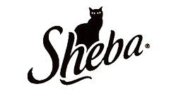 Sheba 
