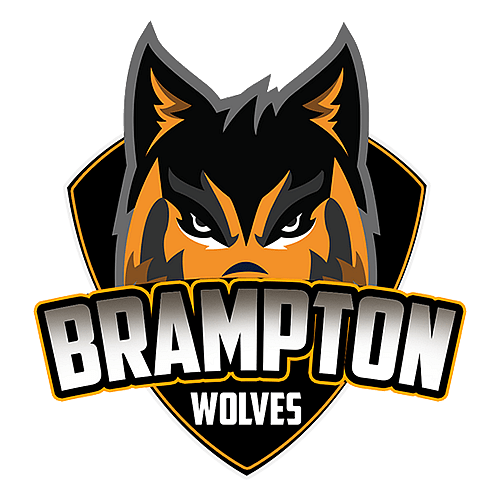Brampton Wolves Cricket Team 