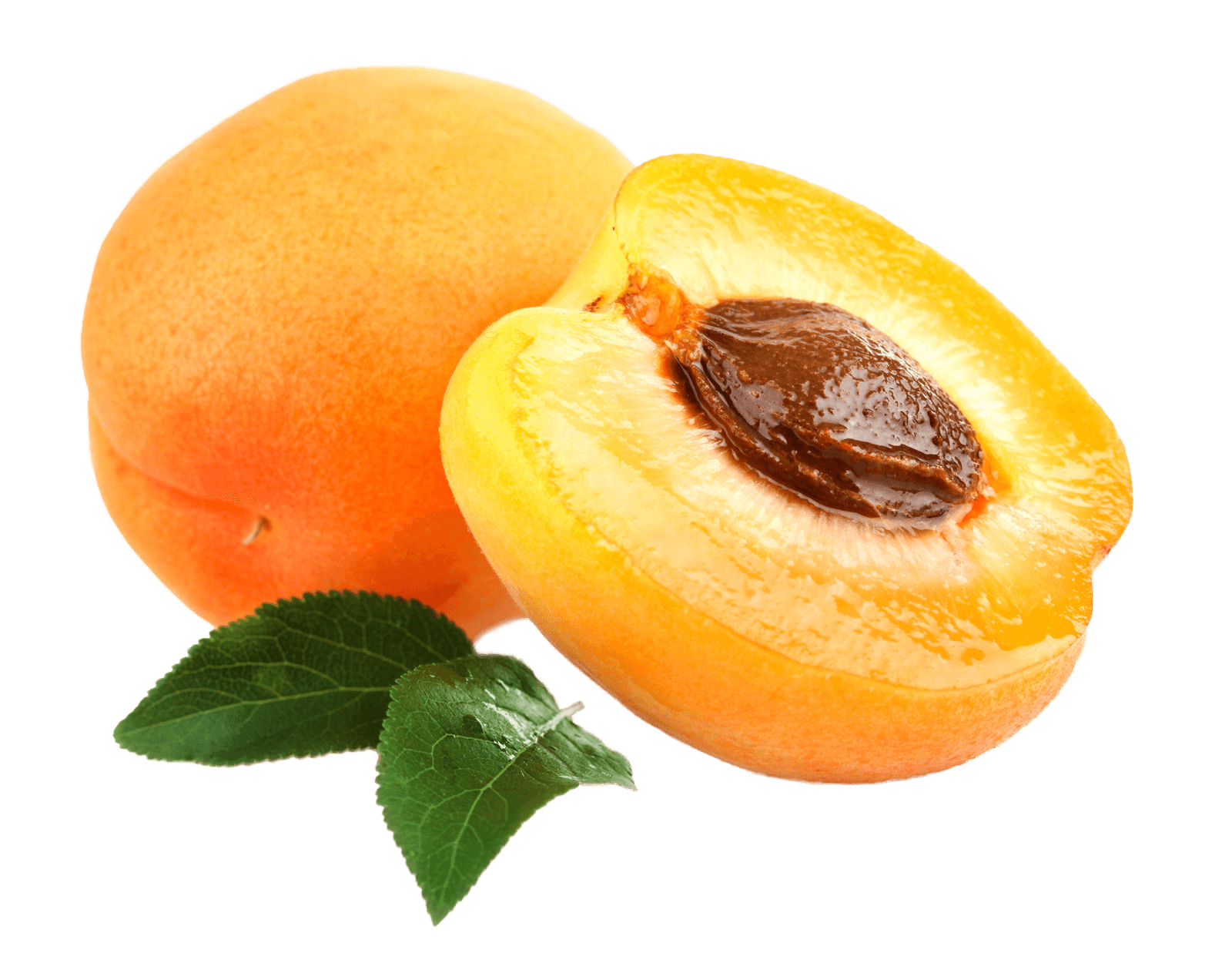Apricot Open