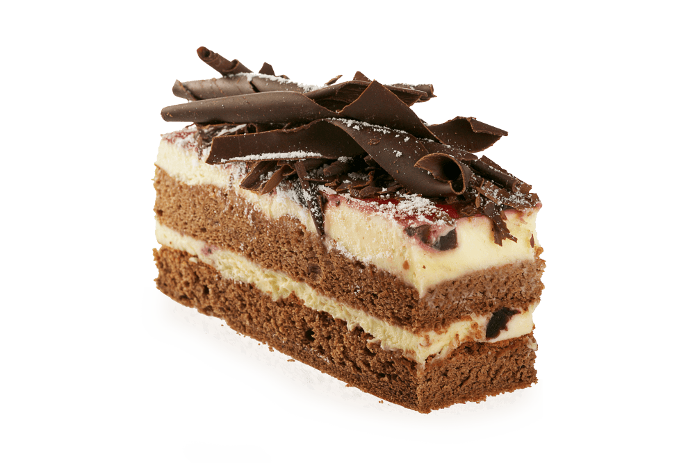 Chocolate Cake Slice