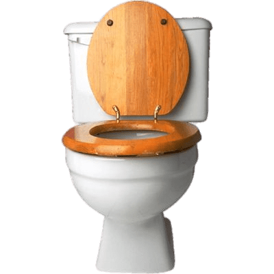 Toilet With Wooden Seat