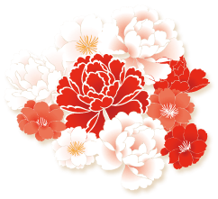 Chinese New Year Lotus